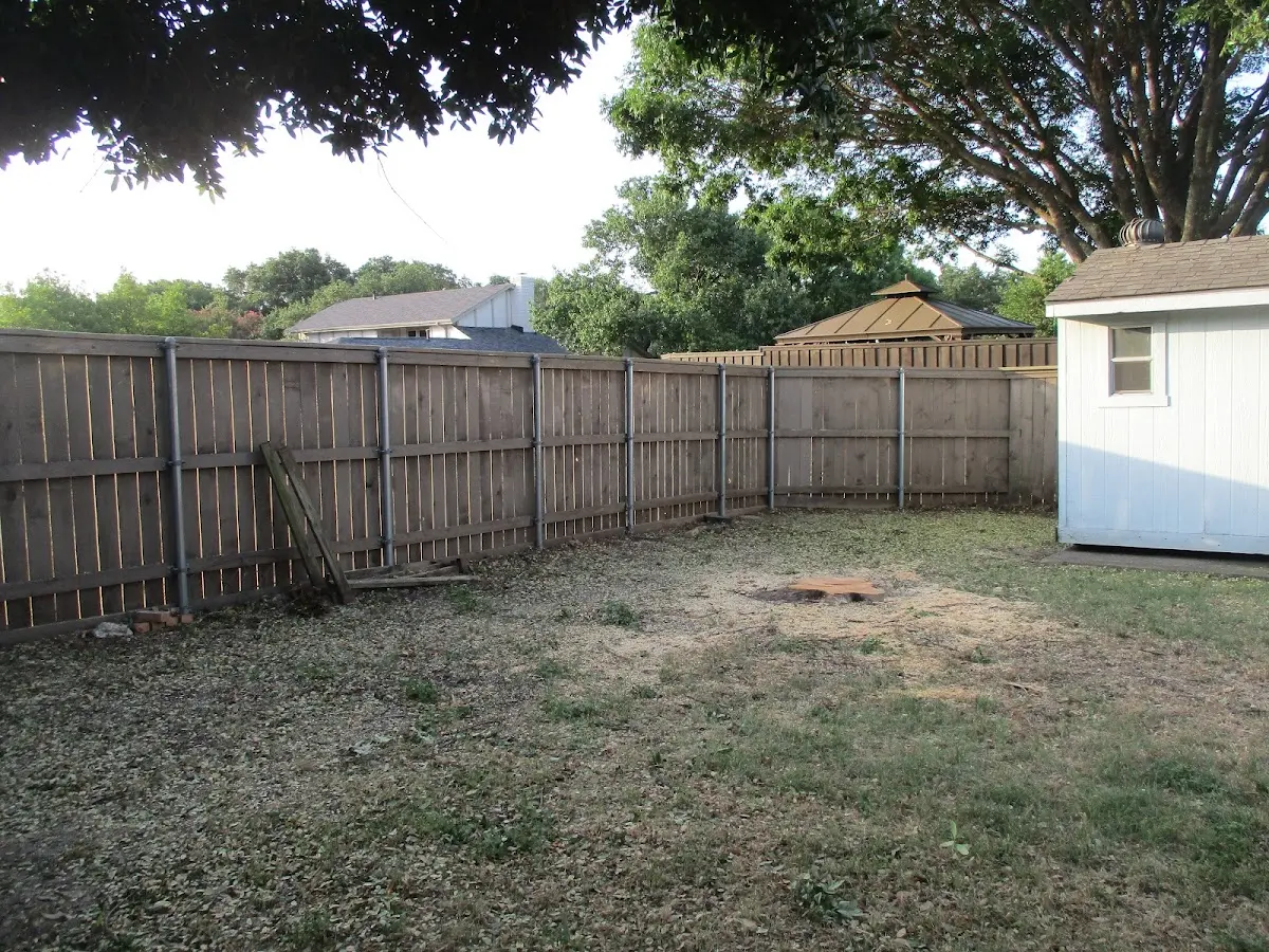 Cleared yard after professional tree removal in North Salem